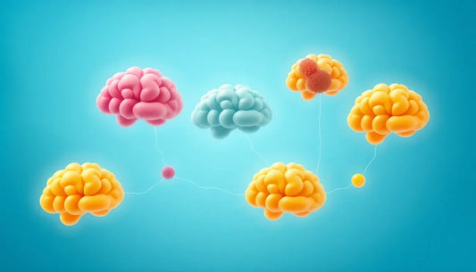 Top 5 Brain Nutrients for Focus and Memory