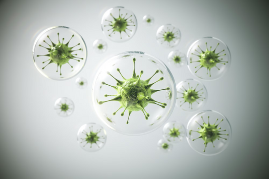 Top 7 Natural Supplements to Boost Your Immune System