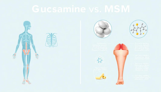 Glucosamine vs. MSM: Which One Helps Joint Pain Better?