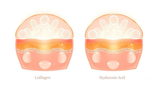 Collagen vs. Hyaluronic Acid: Which Works Better for Skin Hydration?