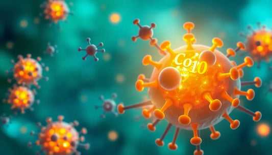 CoQ10 and Energy: How This Nutrient Powers Your Cells