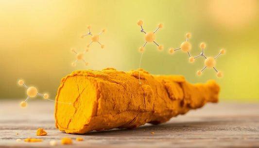 Turmeric and Curcumin: Natural Anti-Inflammatory Support for Vibrant Health