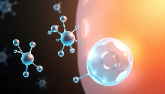 What Are Antioxidants and How Do They Help Skin and Aging?