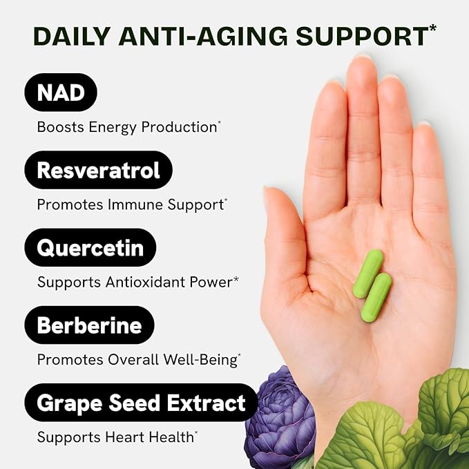 NMN Supplement Alternative - High Absorption NAD, Resveratrol, Berberine, Quercetin, Noni - Liposomal NAD Supplement for Anti Aging, Brain Support, Gut & Joint Heath - 60 Capsules