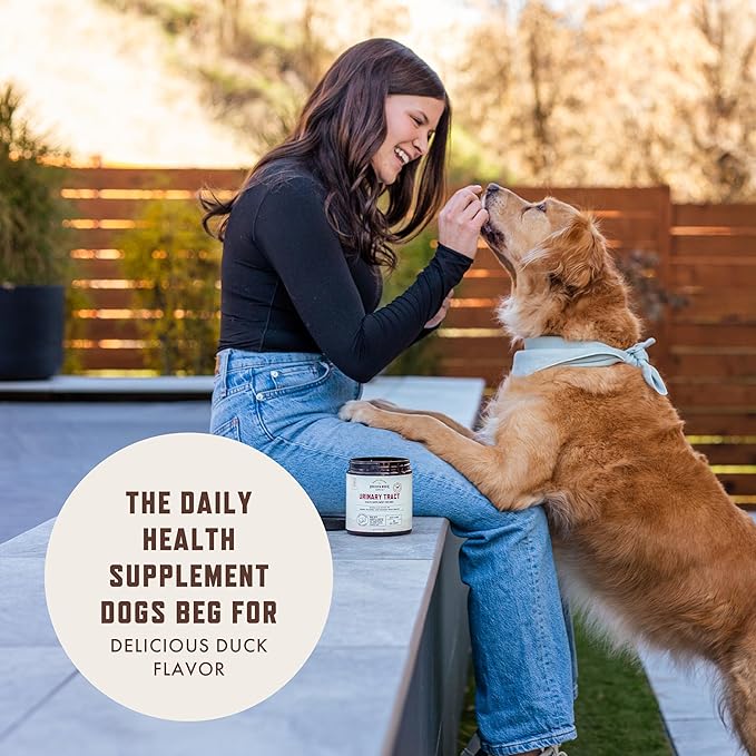 Rocco and Roxie Dog UTI Treatment, Cranberry Supplement for Dogs, Bladder Control, Urinary Tract Support with D-Mannose and Tart Cherry, Incontinence Health Supplements, Dog Treat Soft Chews 90 ct